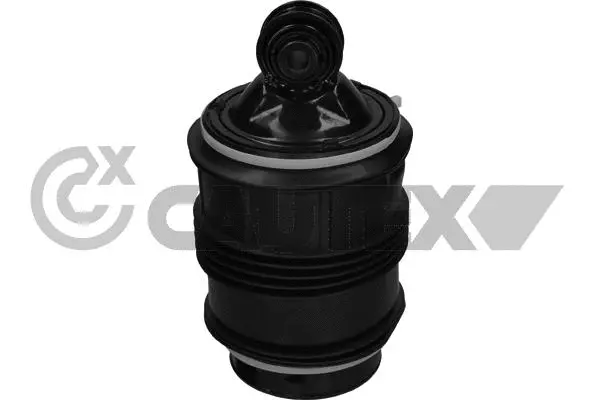 Air Spring, suspension (753172)