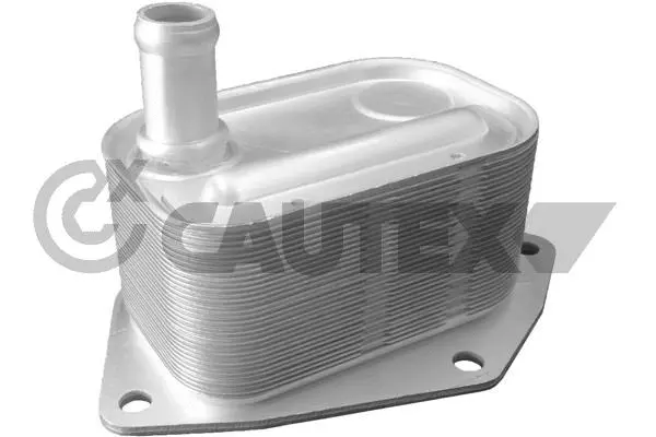 Oil Cooler, engine oil (701074)