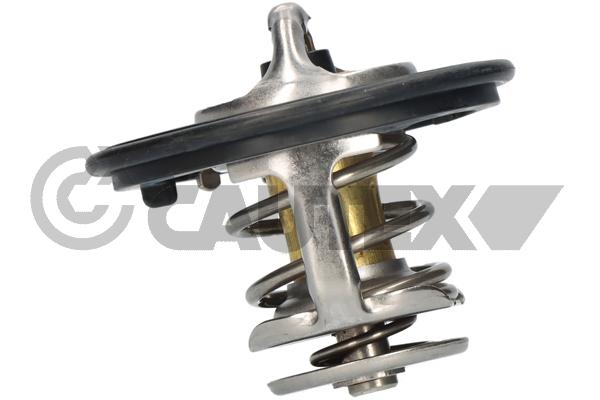 Thermostat, coolant (771482)