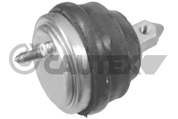 Mounting, engine (201552)