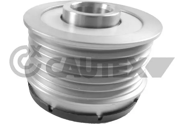 Alternator Freewheel Clutch (770704)