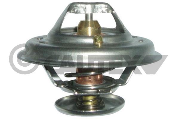 Thermostat, coolant (756896)