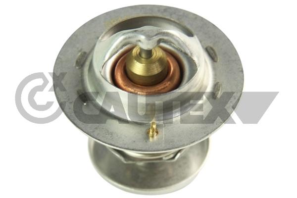 Thermostat, coolant (770213)