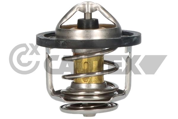 Thermostat, coolant (756872)
