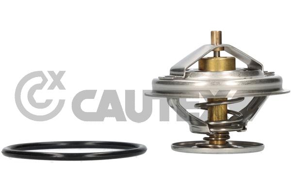 Thermostat, coolant (756884)