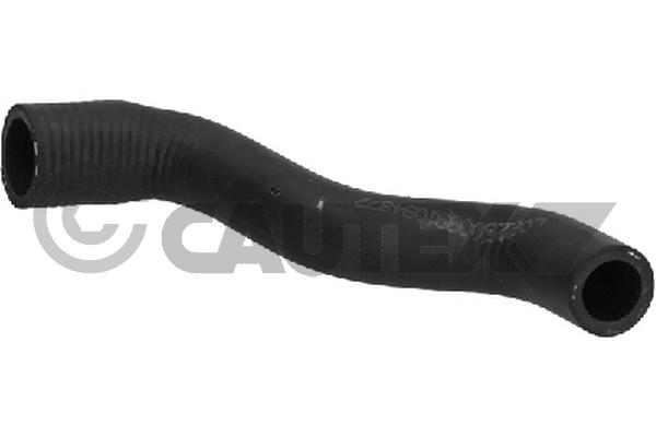 Radiator Hose (775162)
