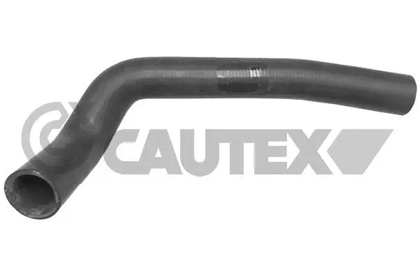Radiator Hose (036109)