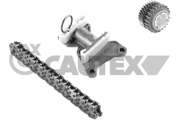 Timing Chain Kit (770423)