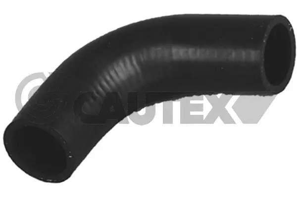 Radiator Hose (026821)