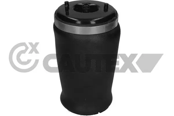 Air Spring, suspension (753271)