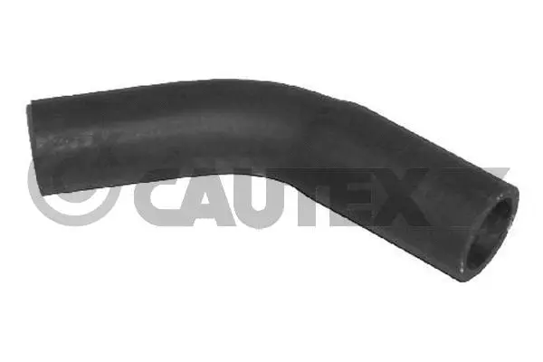 Radiator Hose (036377)