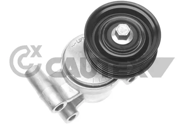 Belt Tensioner, V-ribbed belt (761388)