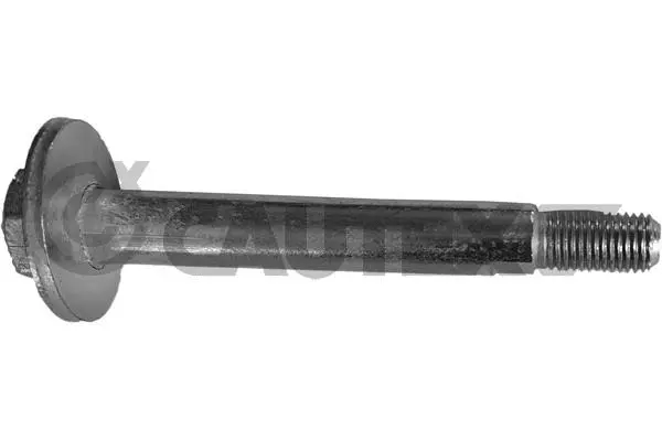 Control/Trailing Arm, wheel suspension (758501)