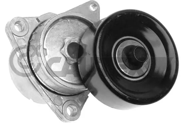 Tensioner Lever, V-ribbed belt (751864)