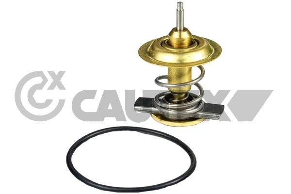 Thermostat, coolant (774593)