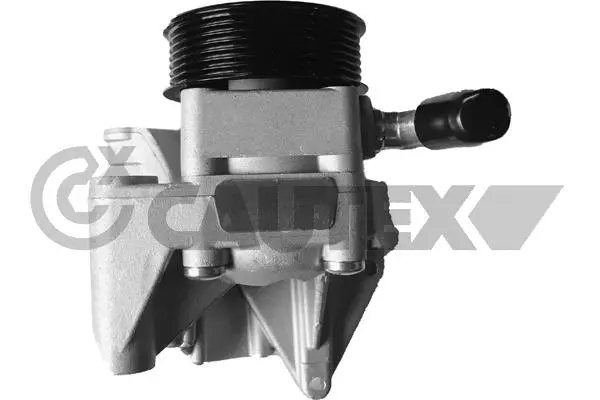 Hydraulic Pump, steering (768326)