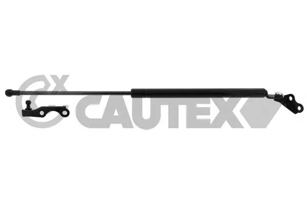 Gas Spring, boot/cargo area (773264)