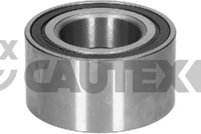 Wheel Bearing Kit (769293)