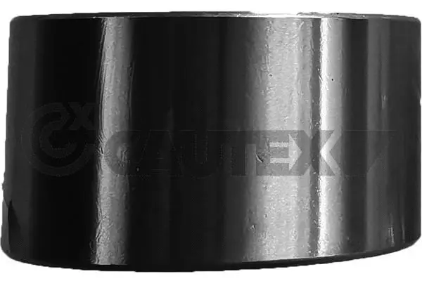 Wheel Bearing (760046)