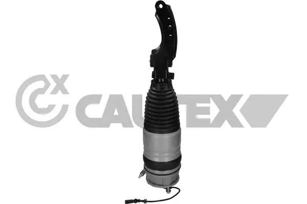 Air Suspension Strut (752122)