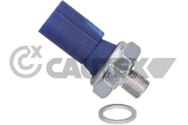 Oil Pressure Switch (769868)