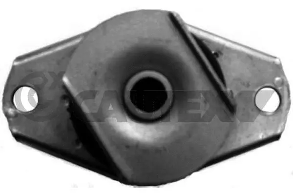 Mounting, engine (010629)