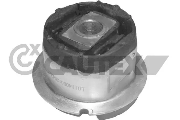Mounting, control/trailing arm (031115)