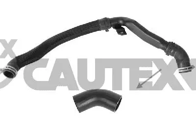 Radiator Hose (773568)