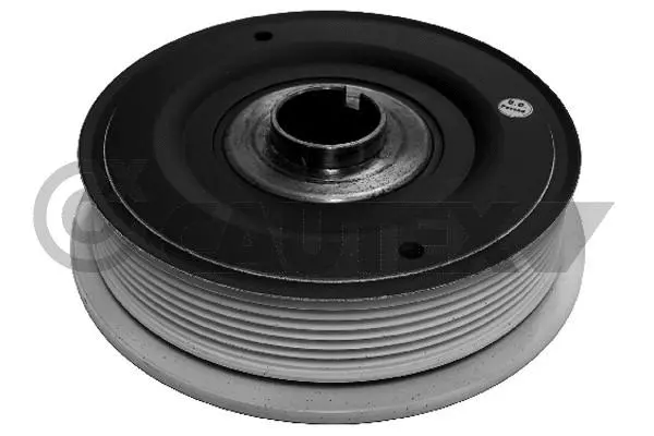 Belt Pulley, crankshaft (020951)