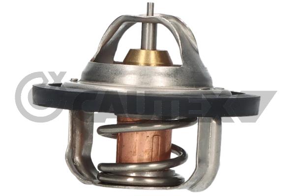 Thermostat, coolant (770201)