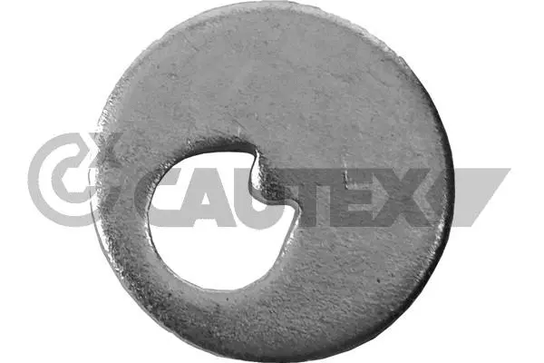 Caster Shim, axle beam (758511)