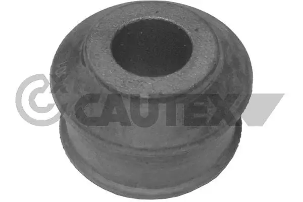 Bush, steering control arm (480553)