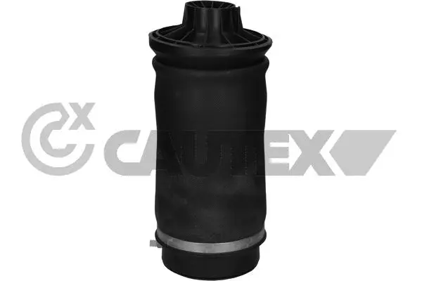 Air Spring, suspension (753068)