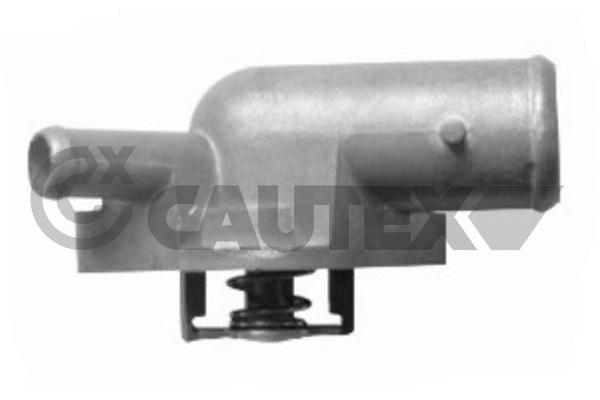 Thermostat, coolant (756731)