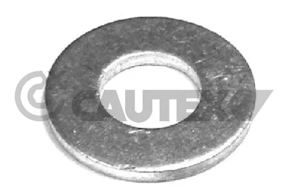 Seal Ring, injector (770657)