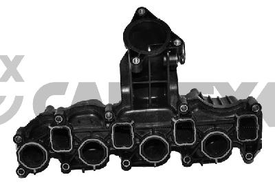 Intake Manifold Module (768824)