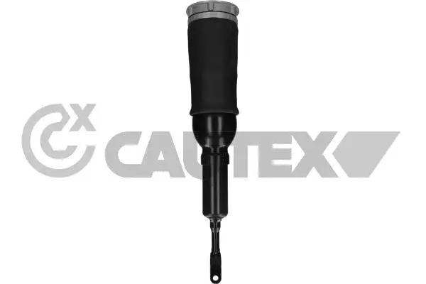 Air Suspension Strut (751961)