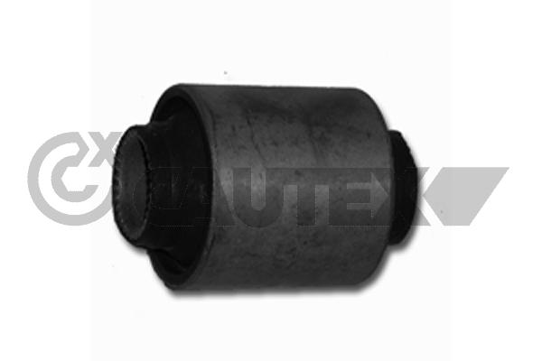 Mounting, control/trailing arm (060611)