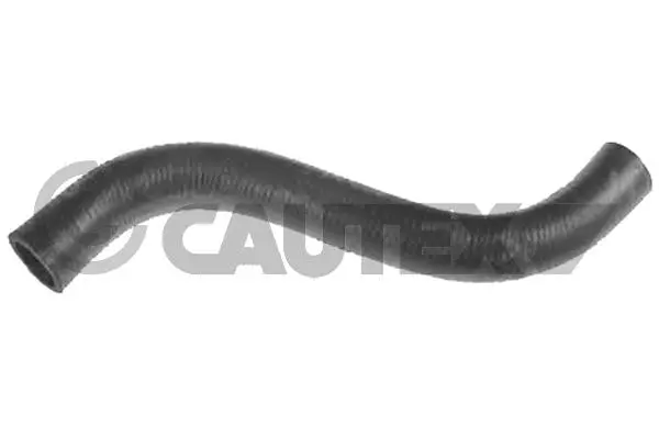 Radiator Hose (016267)