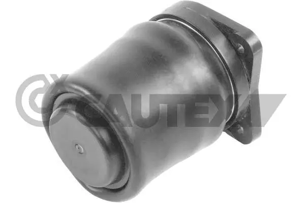 Air Spring, suspension (753206)