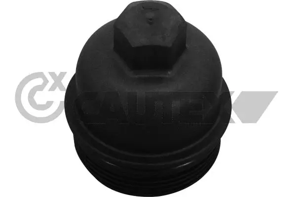 Cap, oil filter housing (771119)