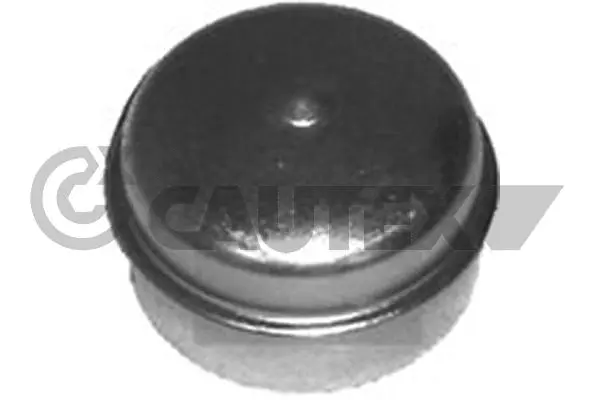Protection Lid, wheel hub (951018)