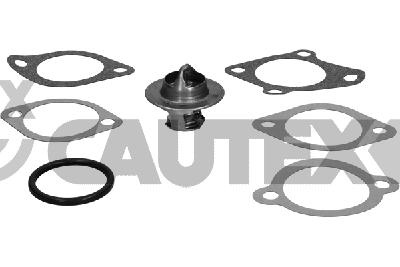 Thermostat, coolant (775899)
