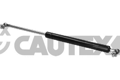 Gas Spring, boot/cargo area (773445)