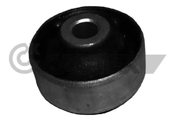 Mounting, control/trailing arm (010100)