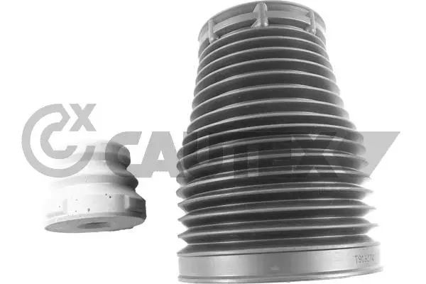 Dust Cover Kit, shock absorber (764038)