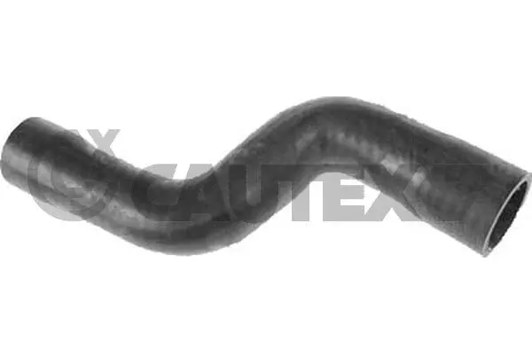 Radiator Hose (016339)