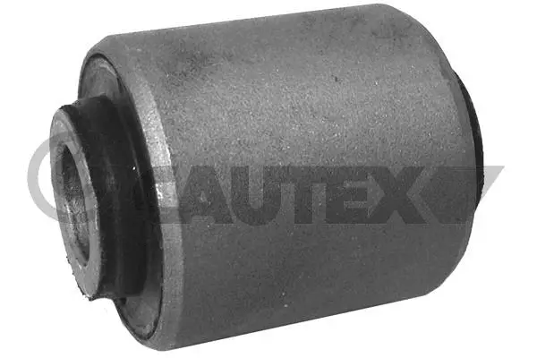 Control/Trailing Arm, wheel suspension (755504)
