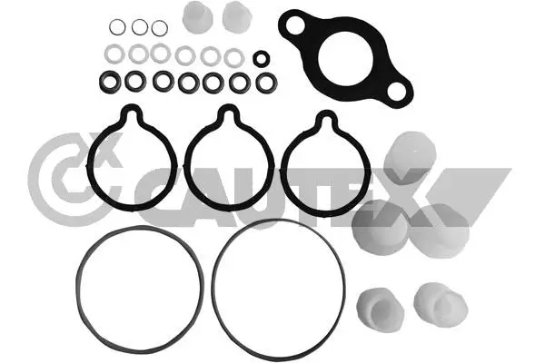 Repair Kit, unit injector (752352)