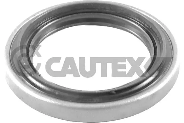 Shaft Seal, wheel hub (758561)